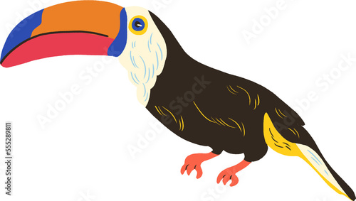 black toucan "tucano" transparent background