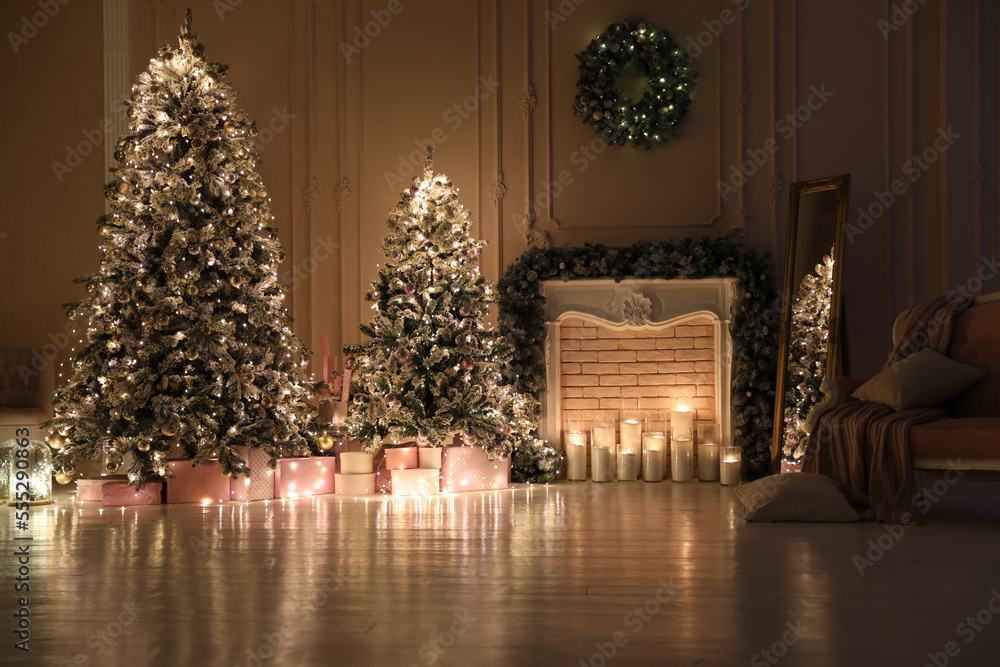 Festive room interior with beautiful Christmas trees Festive room interior with beautiful Christmas trees