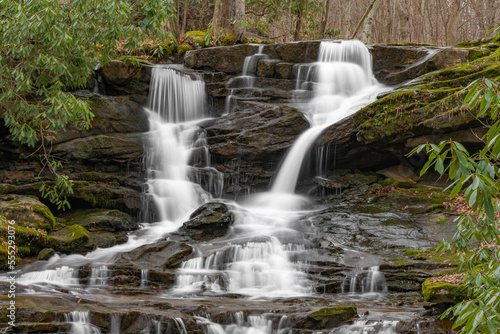 waterfall in the forest © Shane