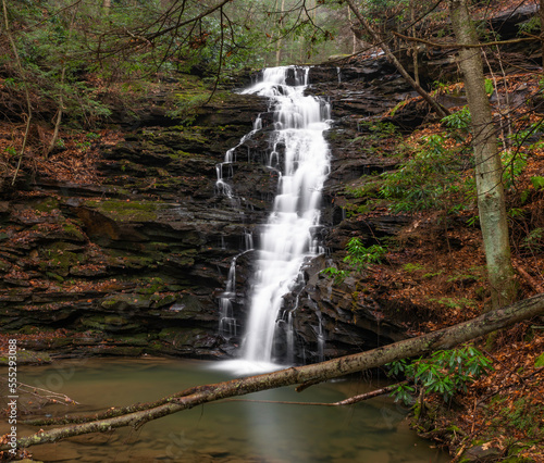 waterfall in the forest