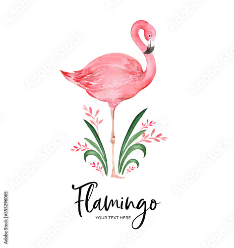 Watercolor card with flamingo on the white background. Can be used as invitation card for wedding, birthday and other holiday and summer background.