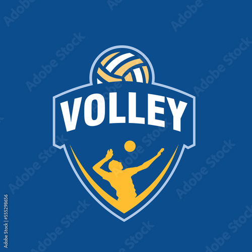 volley ball logo vector design