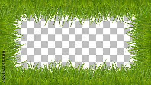 Grass frame on side with center space transparent