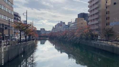 Wallpaper Mural The best view in Yokohama Torontodigital.ca