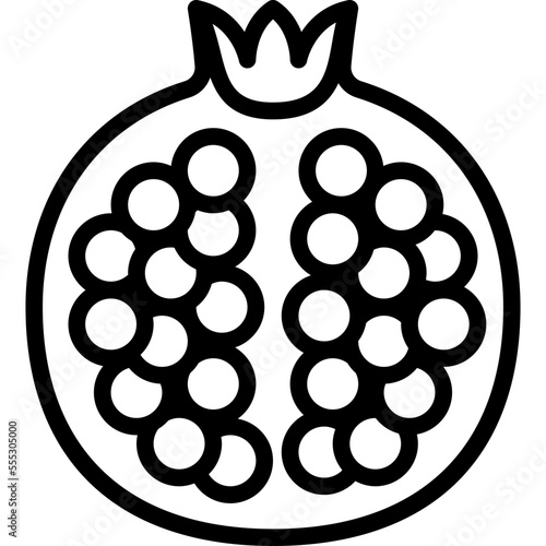 pomegranate  icon