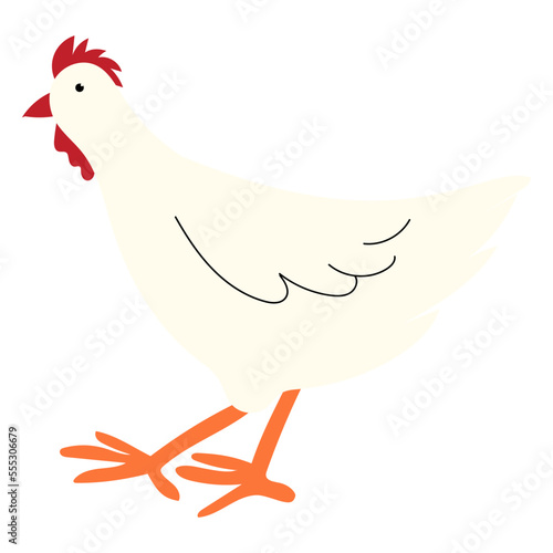 Chicken vector illustration in flat color design