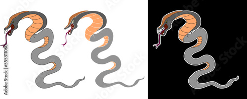 Hand drawn snake vector Illustration isolate on white background.Milk snake vector.Red snake vector.Lampropeltis triangulum vector.Sticker and hand drawn snake for tattoo.