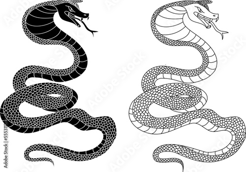 Hand drawn snake vector Illustration isolate on white background.Milk snake vector.Red snake vector.Lampropeltis triangulum vector.Sticker and hand drawn snake for tattoo.