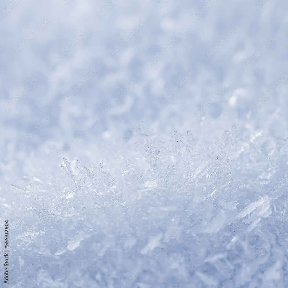 Obraz premium Fresh snow background. Natural winter backdrop. Texture in blue tones
