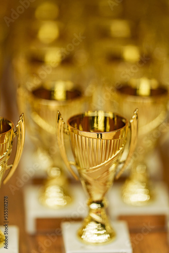 Obraz na plátně gold cups rewarding of winners