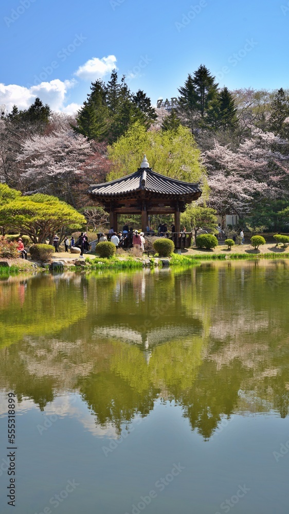 Spring scenery of Bomunjeong Pavilion in Gyeongju, South Korea Spring scenery of Bomunjeong Pavilion in Gyeongju, South Korea