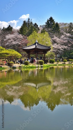 Spring scenery of Bomunjeong Pavilion in Gyeongju, South Korea