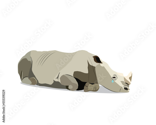 A vector of sad Sumatran Rhinoceros on isolated white background. Animal that considered as endangered species