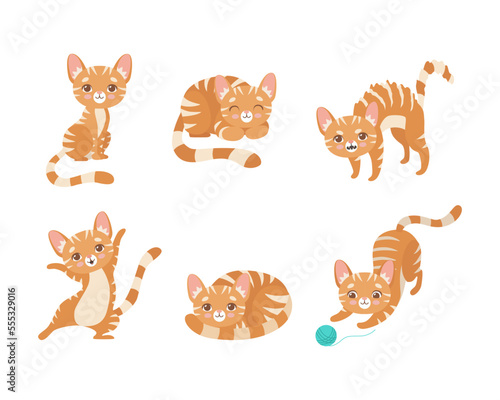 Cute Ginger Striped Kitten as Furry Domestic Pet Vector Set