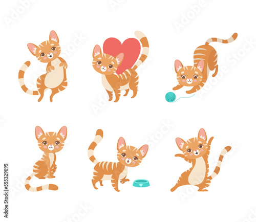 Fototapeta Naklejka Na Ścianę i Meble -  Cute Ginger Striped Kitten as Furry Domestic Pet Vector Set