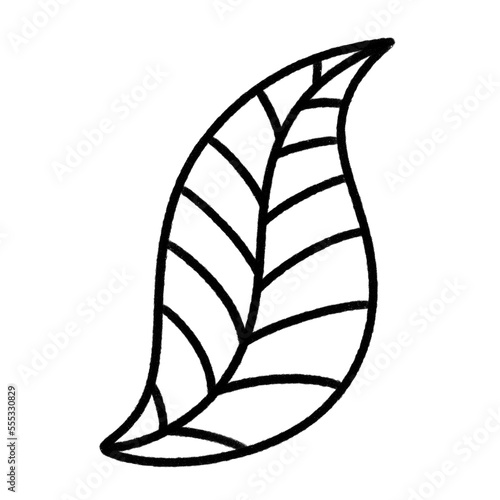 tropical leaf line icon.