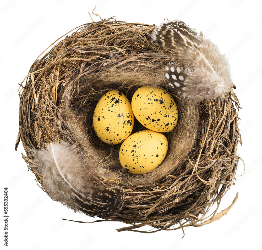 Obraz premium Beautiful colored easter eggs in the nest