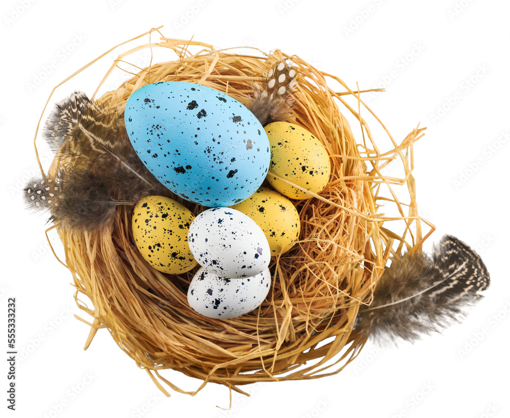 Beautiful colored easter eggs in the nest Beautiful colored easter eggs in the nest