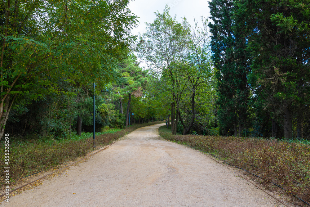 Obraz premium Haciosman or Ataturk City Forest in Sariyer Istanbul. Jogging trail in a park