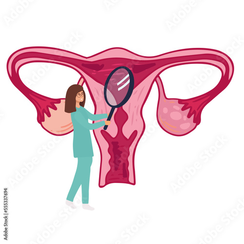 Female menstrual cycle. landing page Female doctor tracking menstrual cycle. Vector illustration of female reproductive system