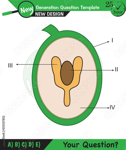 Biology - Lecture notes, plant physiology, flower, seed, root, stem, leaf, next generation question template, eps