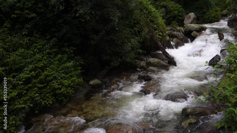 River flowing ( Barati Nala ) alongside Shrikhand Mahadev kailash Yatra trail through dense forest and Mountains. Himachal Pradesh India.
