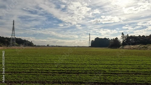 田園風景