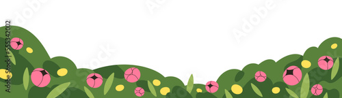Spring meadow flowers and grass border. Field floral plants, leaf in summer garden, decoration. Decorative wild blooms, horizontal banner. Flat vector illustration isolated on white background
