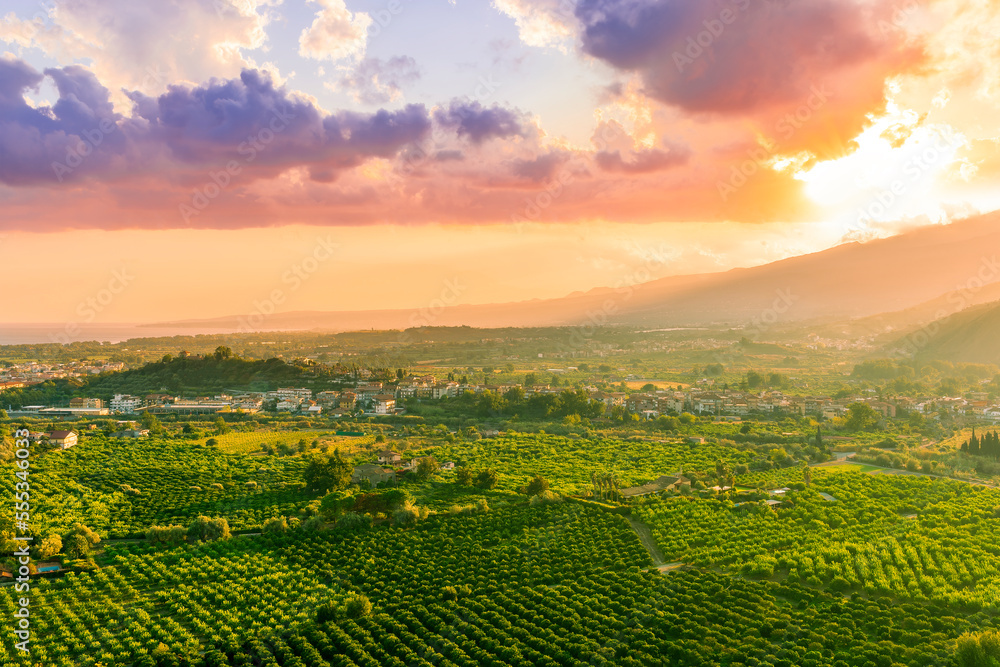 green beautiful valley with gardens and plantations and amazing mountains on background during sunset or sunrise