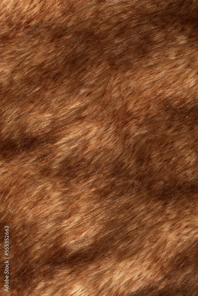 fur coat backgrond, natural texture fur coat backgrond, natural texture