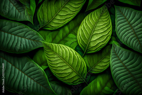 Background of lush green leaves Generative AI 