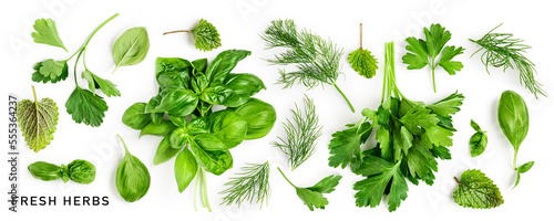 Obraz na plátně Parsley, basil, dill and mint leaves creative layout.