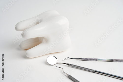 Dentist tools and tooth model on white background