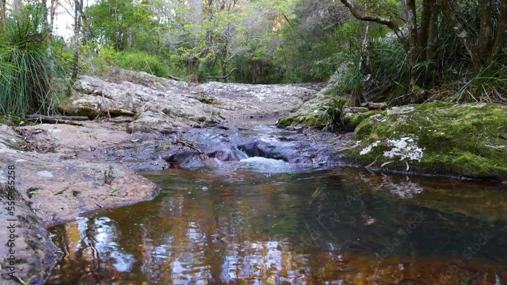 Stream and calm water in Springbrook National Park, Queensland, Australia. Stream and calm water in Springbrook National Park, Queensland, Australia.