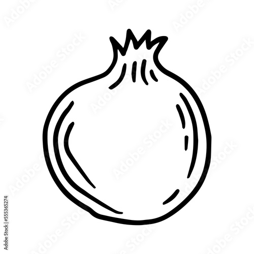 Vector doodle black sketch of tropical pomegranate fruit isolated on a white background, stock illustration on a horticultural theme. garnet, vector sketch on a white background