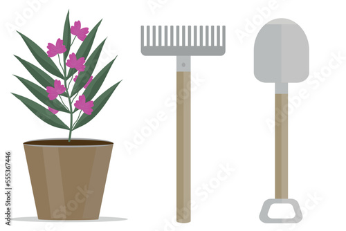 a spade and rake and potted flowers set for agronomist growing plants farming