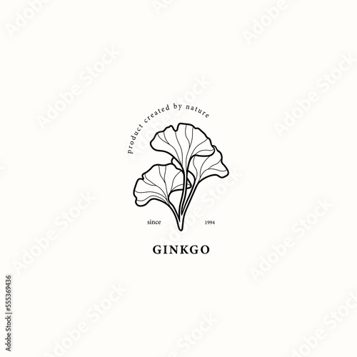 Line art ginkgo leaf logo