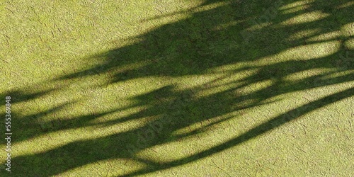 close up of green leaf shadow texture background 3d render illustration wallpaper sunset concept