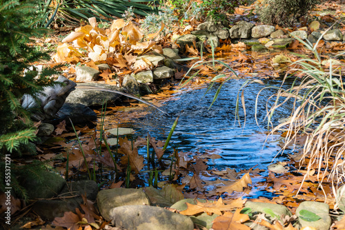 Fototapeta Naklejka Na Ścianę i Meble -  Beautiful small garden pond with stone banks and Frog Fountain. Water surface of pond is strewn with oak leaves. Selective focus. Yellow autumn in landscaped garden. Nature concept for design