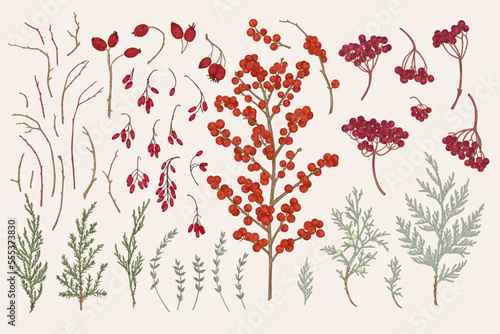 Set with berries and evergreens.