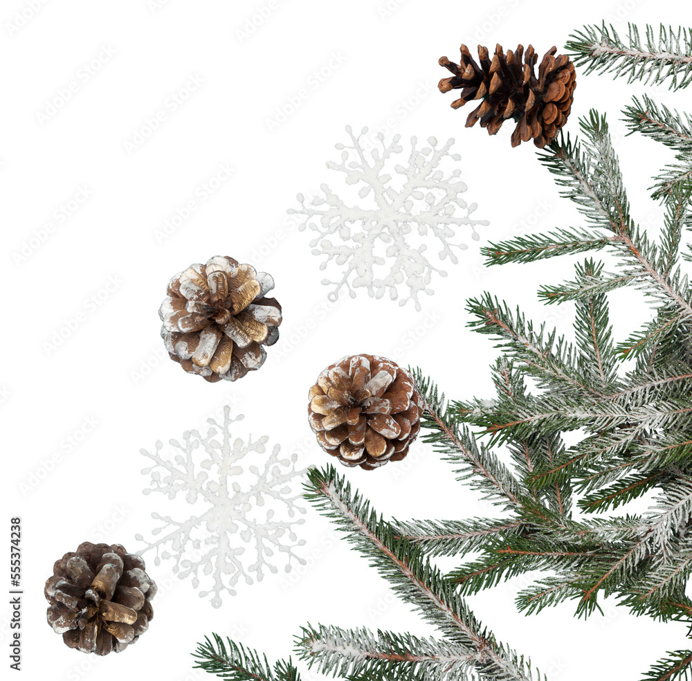 New Year and Christmas decorations, Christmas fir branches New Year and Christmas decorations, Christmas fir branches