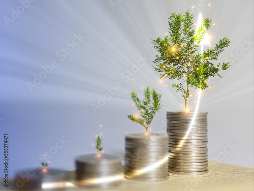 Growing money, plant or tree grows on stack of coins with bright arrow point up. Finance, account, saving, and investment concept