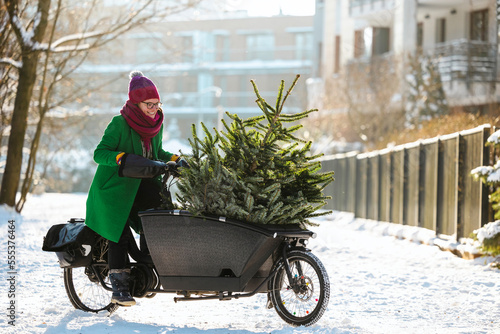 Woman transporting Christmas tree on cargo bike
 photo