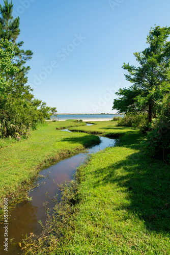 Fototapeta Naklejka Na Ścianę i Meble -  Winding watercourse channel in the middle of green plants at Destin, Florida