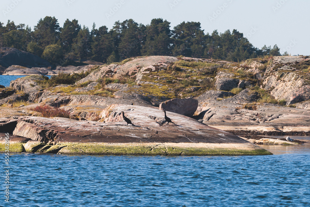 Archipelago National Park landscape, Southwest Finland, with islands, islets and skerries, Saaristomeren kansallispuisto, summer sunny day, view from shuttle ship ferry boat in the Archipelago Sea