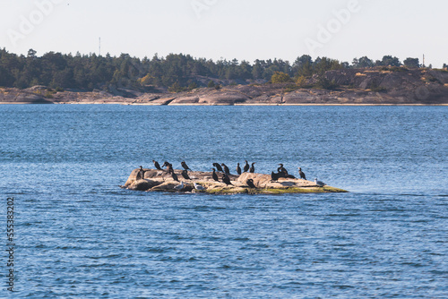 Archipelago National Park landscape  Southwest Finland  with islands  islets and skerries  Saaristomeren kansallispuisto  summer sunny day  view from shuttle ship ferry boat in the Archipelago Sea