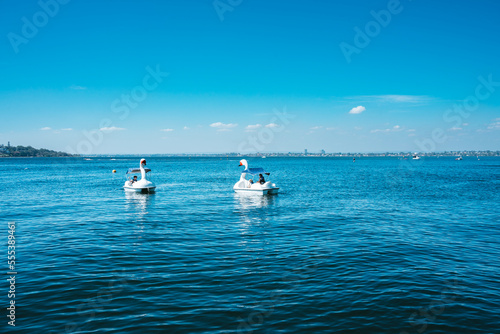 Swan shaped paddle boats on the Swan River in Perth, Australia