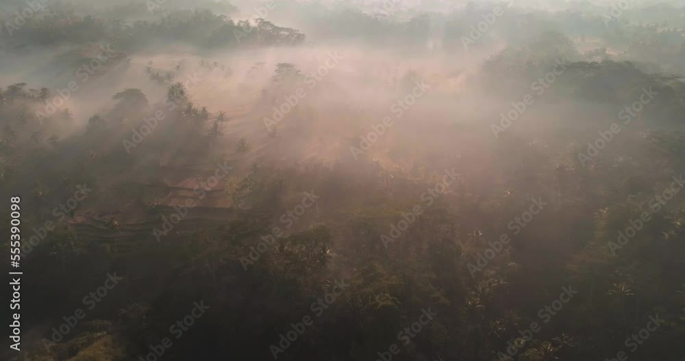 Rice terraces on slopes in tropical forest in Java, Indonesia. Beautiful sunrise with mist and sun rays visible. Aerial view, drone footage Rice terraces on slopes in tropical forest in Java, Indonesia. Beautiful sunrise with mist and sun rays visible. Aerial view, drone footage