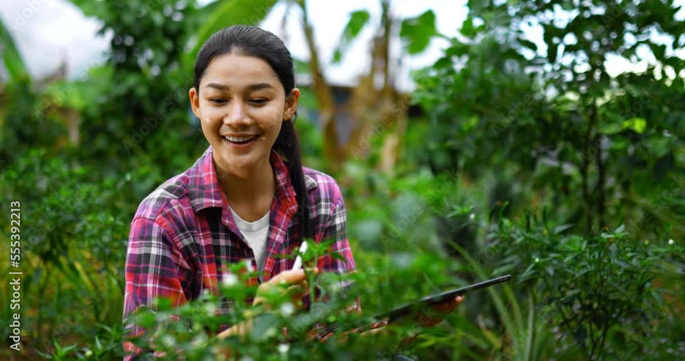 Young beautiful farmer use tablet and digital pen during checking the fertility of horticulture in garden, she has satisfied smile Young beautiful farmer use tablet and digital pen during checking the fertility of horticulture in garden, she has satisfied smile