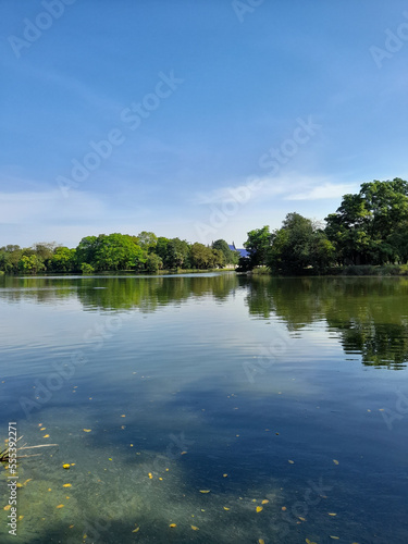 lake in summer